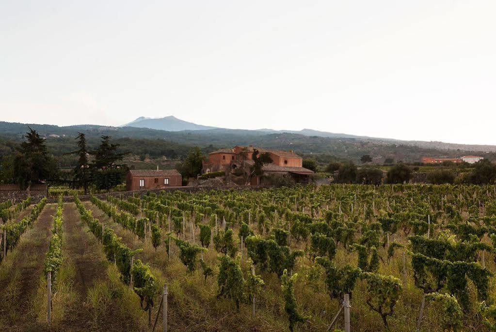 Agriturismo Valle Galfina Linguaglossa Exterior photo